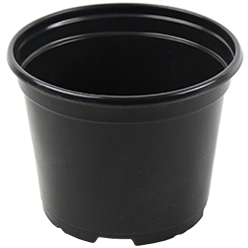 Round Pot Black 6.50 Inch - 450 per case - Azaleas